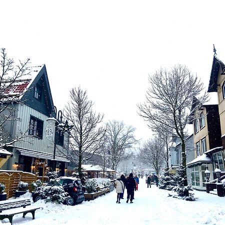 Harz Is Calling Goslar Exterior foto
