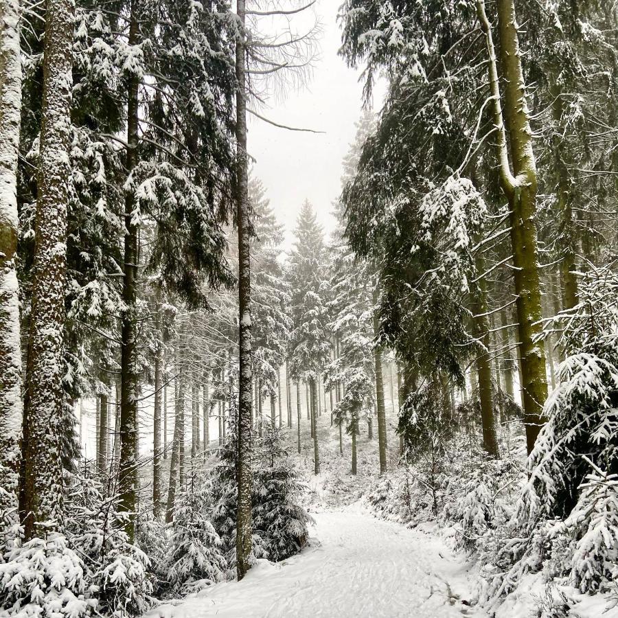Harz Is Calling Goslar Exterior foto